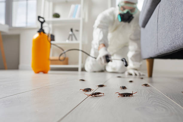 Commercial Kitchen Cockroach Control in Paxtang